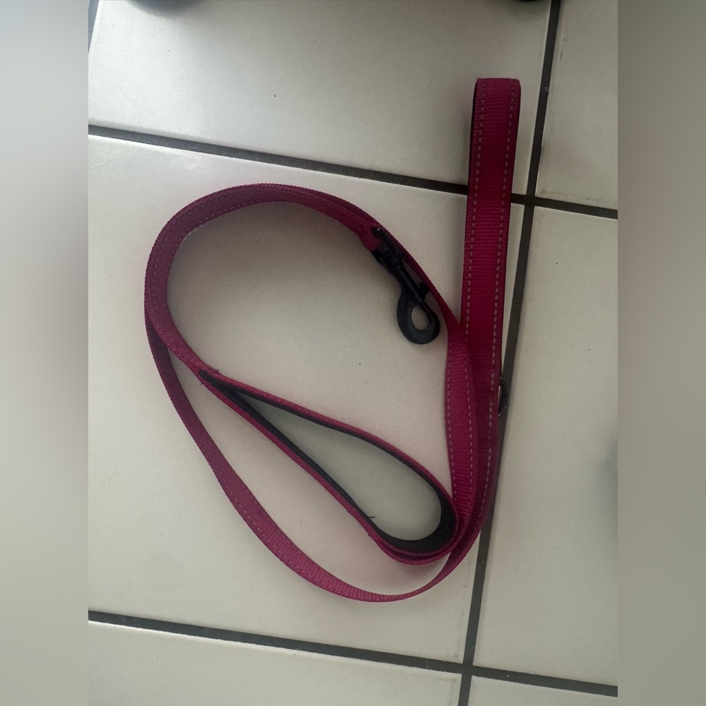 Bright Pink Dog Leash with Padded Handle